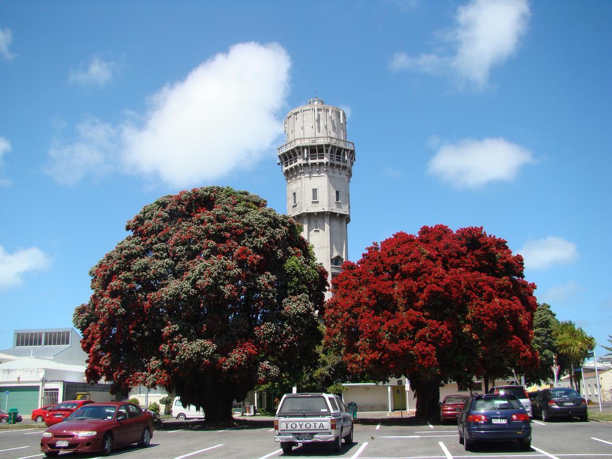 Kiwi Court Motel Hawera Exteriér fotografie